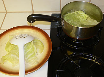 Boiling Cabbage Leaves