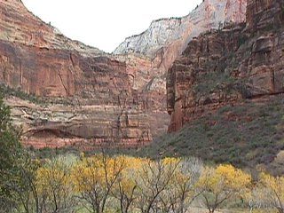 Zion view