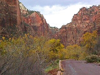 Zion view