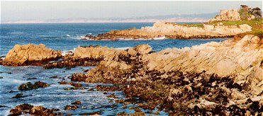 Monterey shore