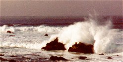 Monterey shore with waves